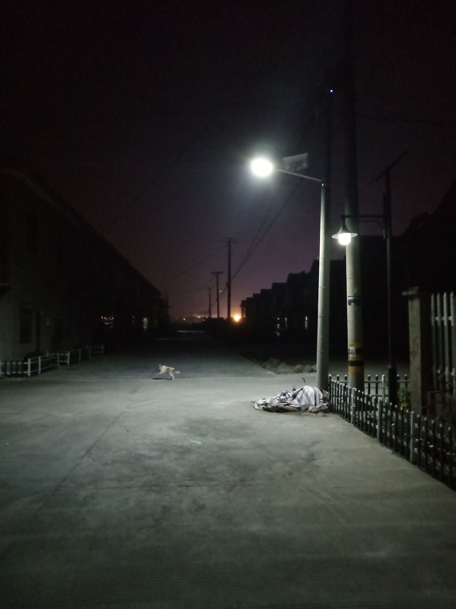 高桥村高桥一小区就这么几盏鸟路灯像样吗