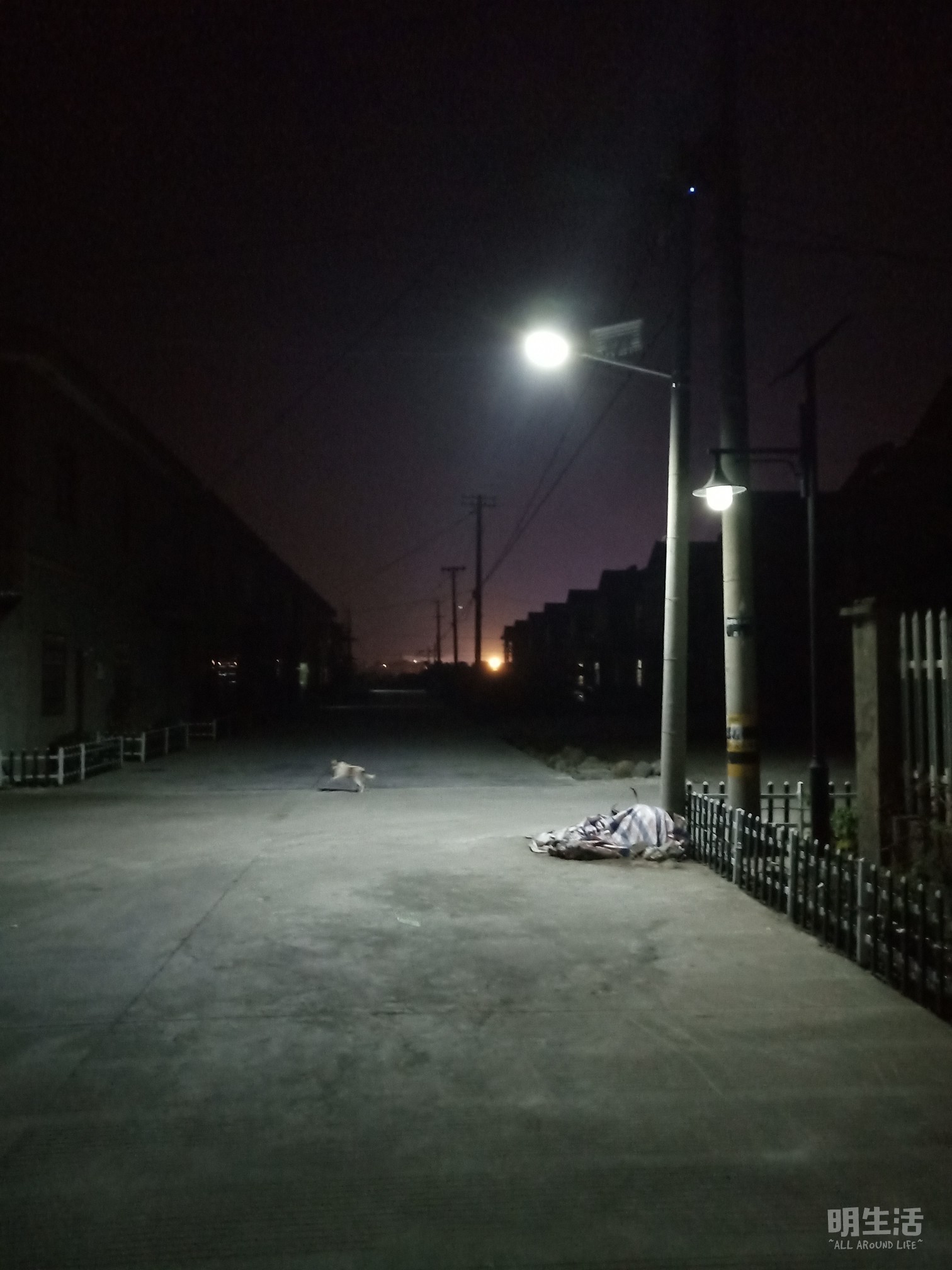 高桥村高桥一小区就这么几盏鸟路灯像样吗